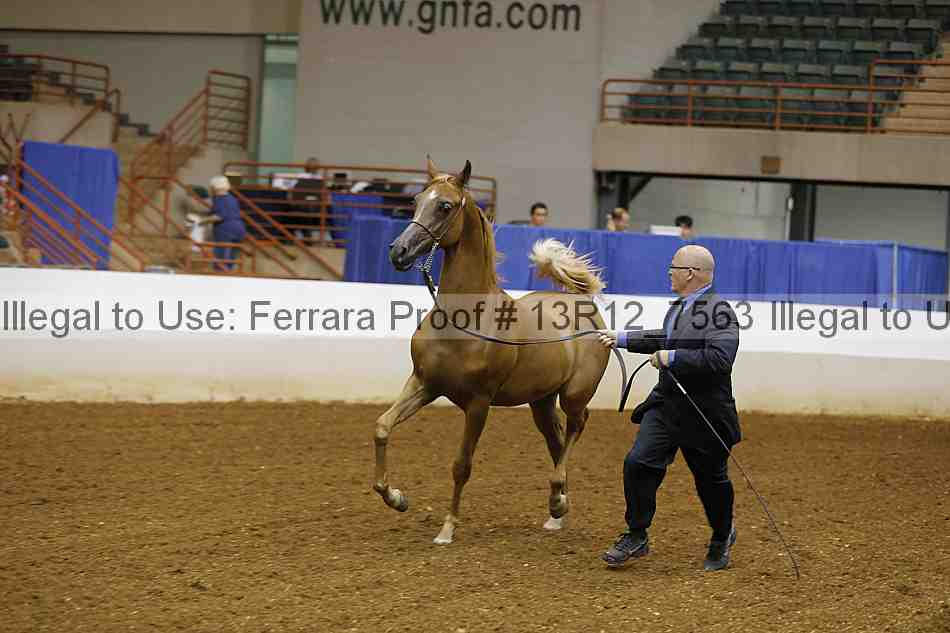 Proof 13r12_7563