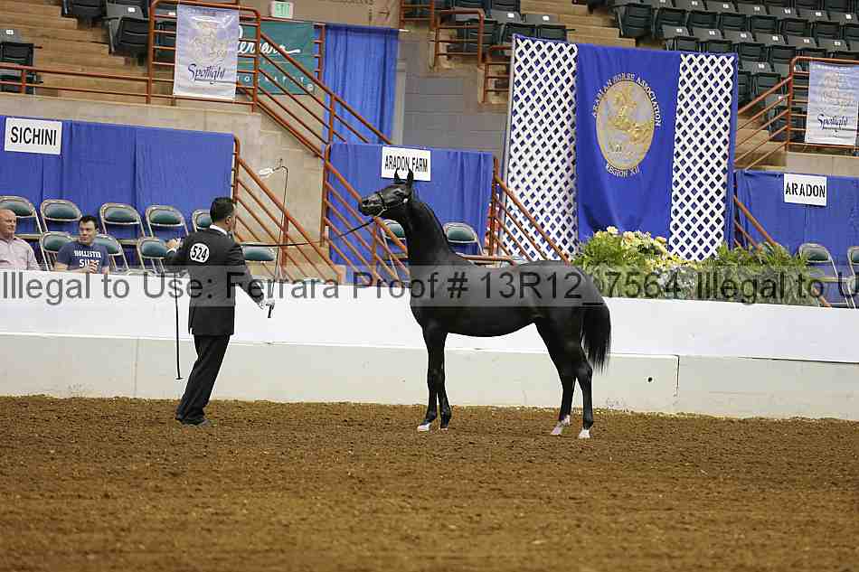 Proof 13r12_7564
