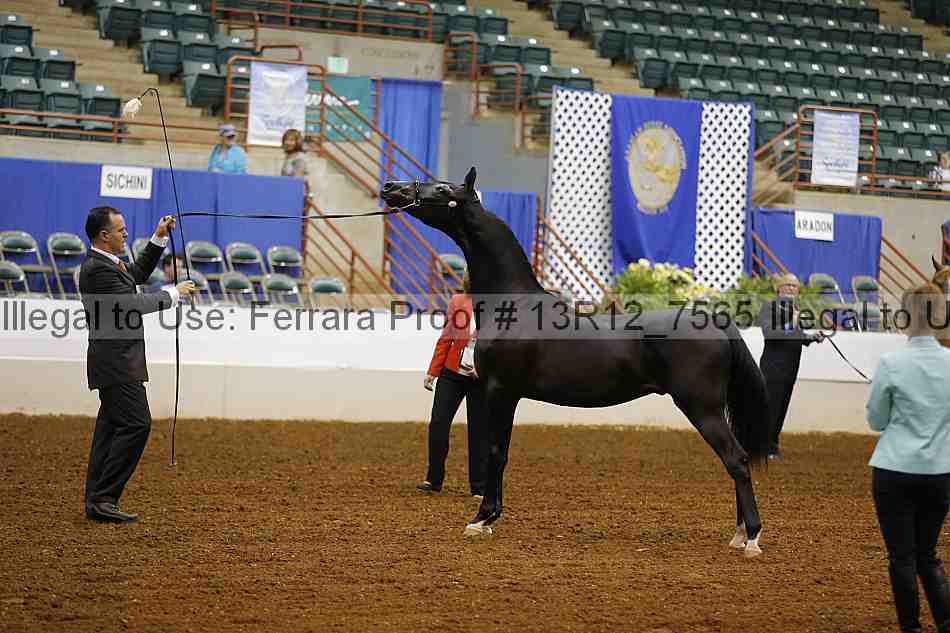 Proof 13r12_7565