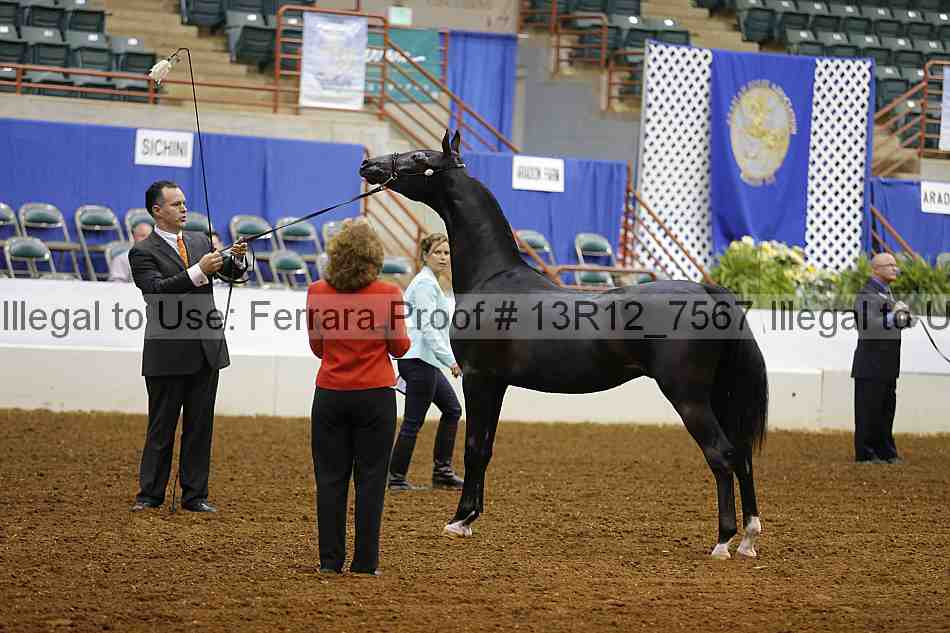 Proof 13r12_7567
