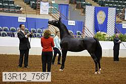 13r12_7567 proof