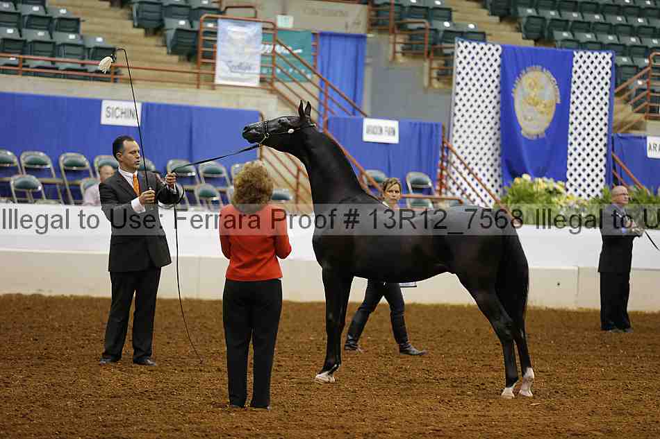 Proof 13r12_7568