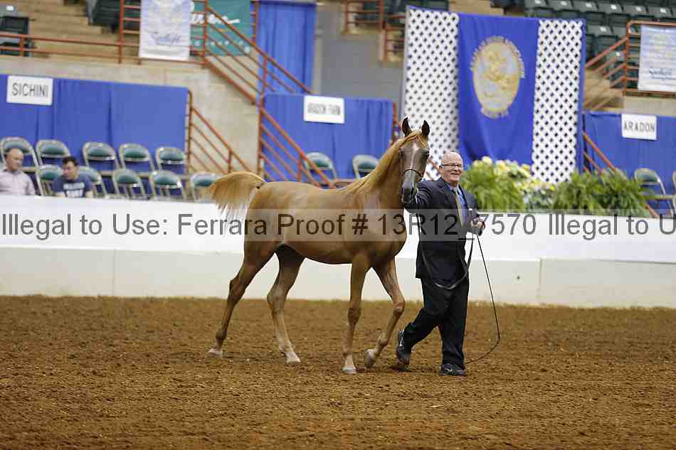 Proof 13r12_7570