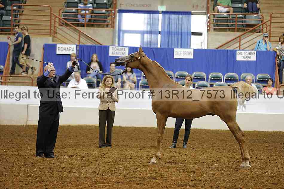 Proof 13r12_7573
