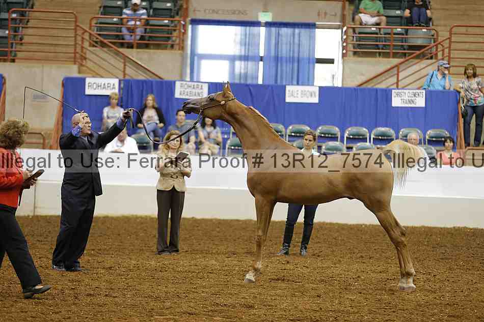 Proof 13r12_7574