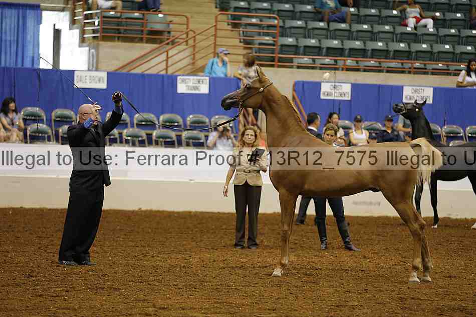 Proof 13r12_7575