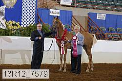 13r12_7579 proof