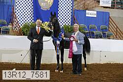 13r12_7581 proof