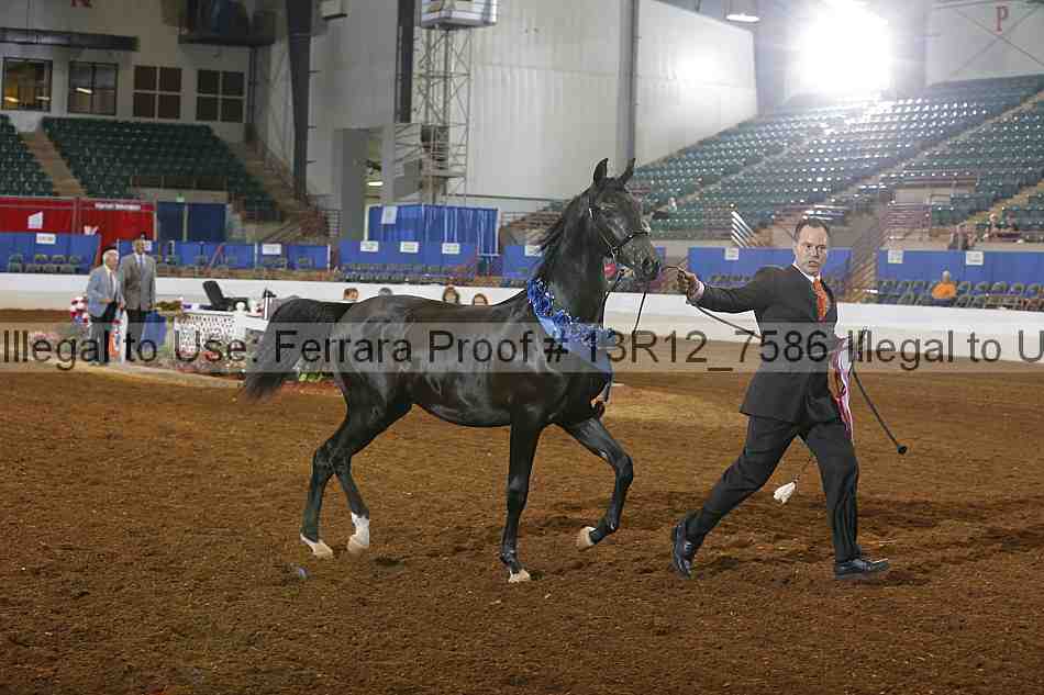 Proof 13r12_7586