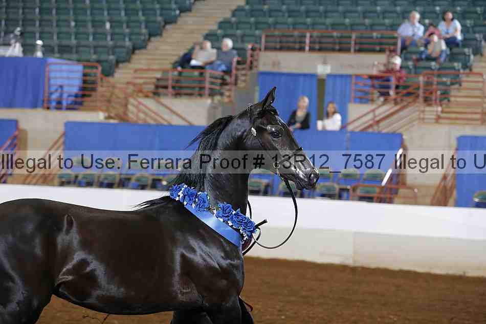 Proof 13r12_7587