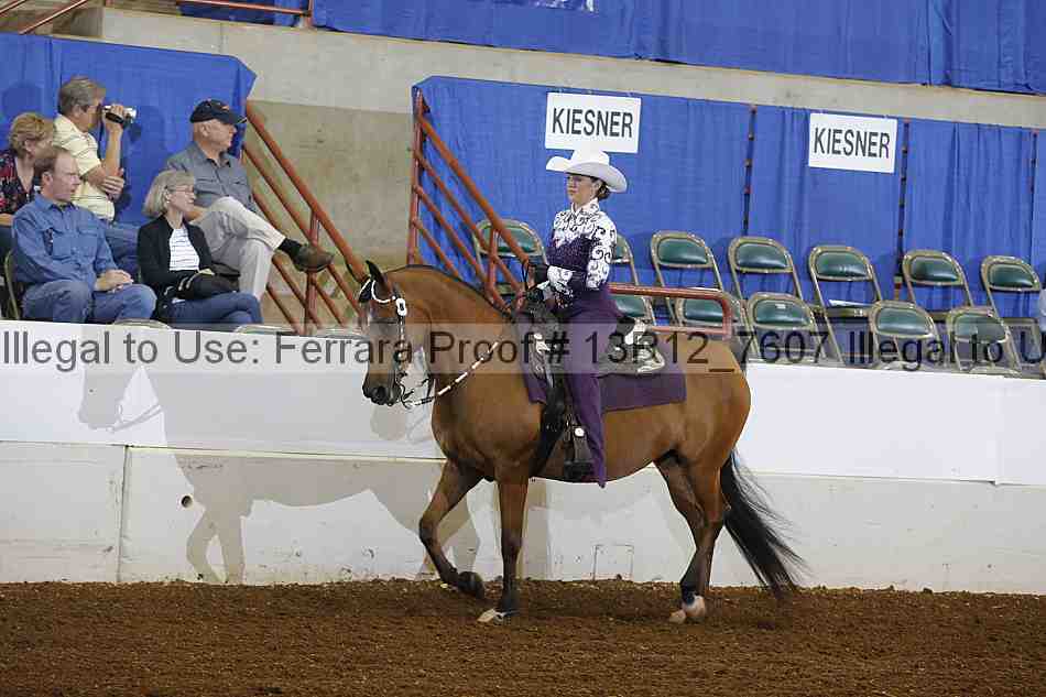 Proof 13r12_7607