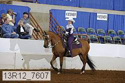 13r12_7607 proof