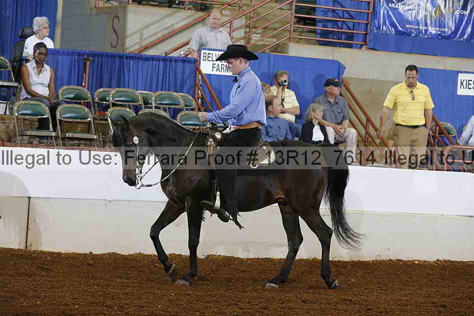 Proof 13r12_7614
