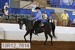 13r12_7614 proof