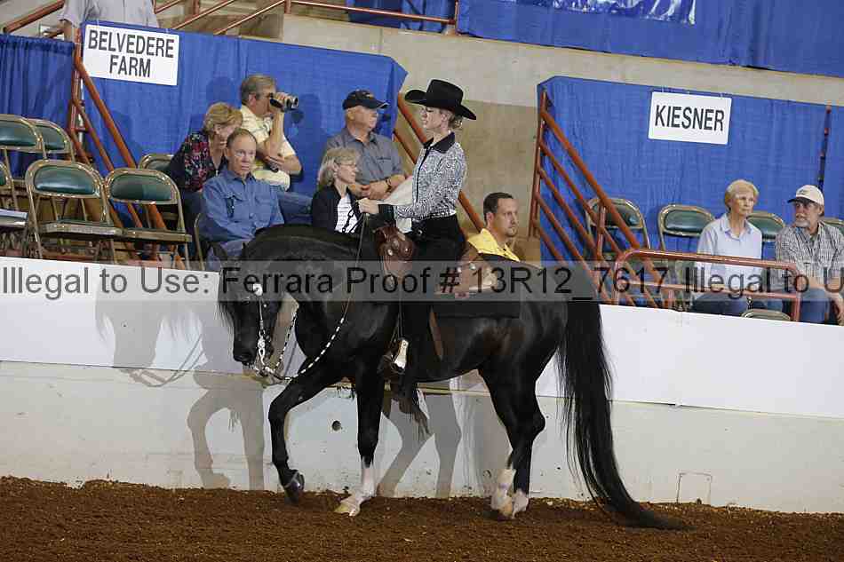 Proof 13r12_7617
