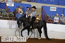 13r12_7617 proof