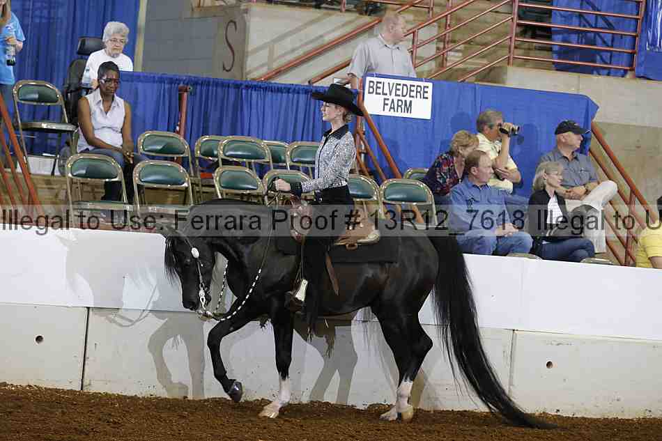 Proof 13r12_7618