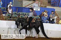 13r12_7618 proof