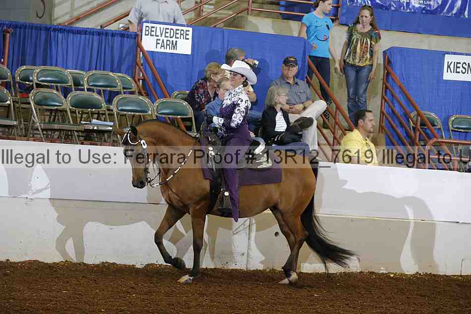 Proof 13r12_7619