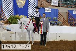 13r12_7627 proof
