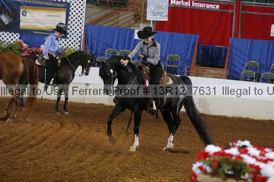 Proof 13r12_7631