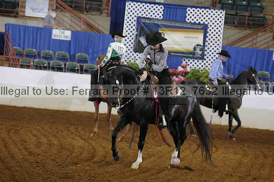 Proof 13r12_7632