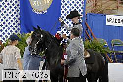 13r12_7633 proof