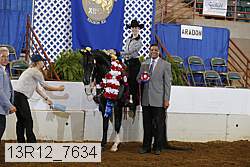 13r12_7634 proof