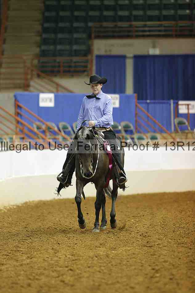 Proof 13r12_7638
