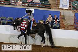 13r12_7660 proof