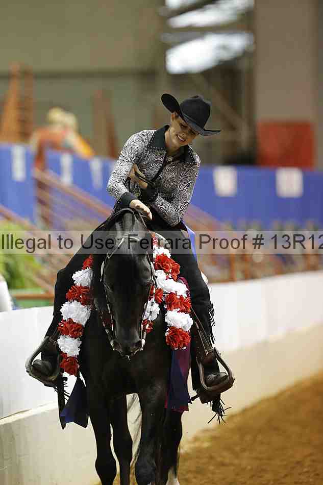 Proof 13r12_7667