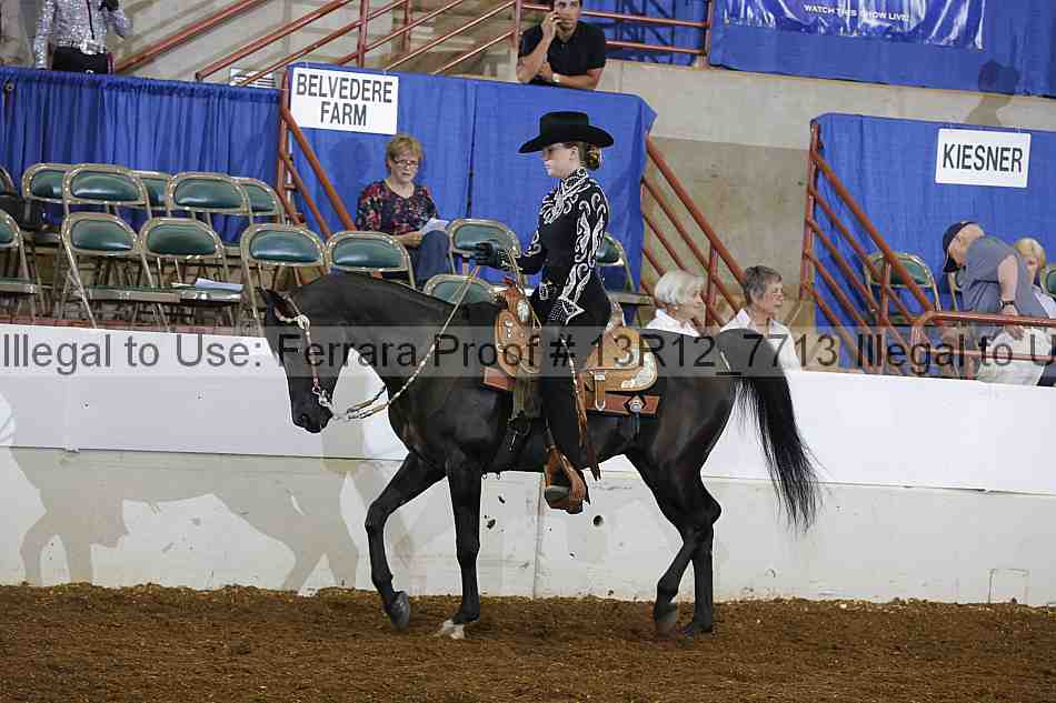Proof 13r12_7713