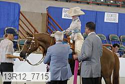13r12_7715 proof
