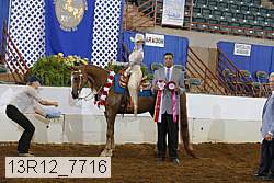 13r12_7716 proof