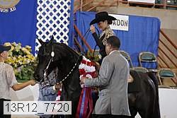 13r12_7720 proof