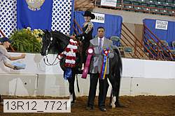 13r12_7721 proof
