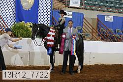13r12_7722 proof