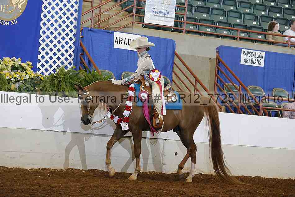 Proof 13r12_7725
