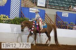 13r12_7725 proof
