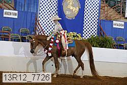13r12_7726 proof