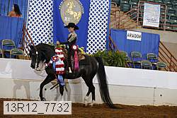 13r12_7732 proof