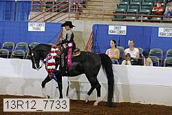 13r12_7733 proof
