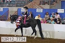 13r12_7734 proof