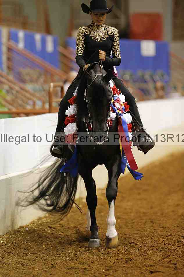 Proof 13r12_7736