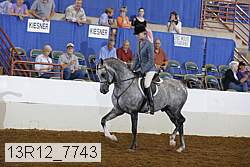 13r12_7743 proof