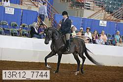 13r12_7744 proof