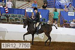 13r12_7750 proof