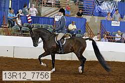 13r12_7756 proof