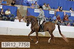 13r12_7758 proof