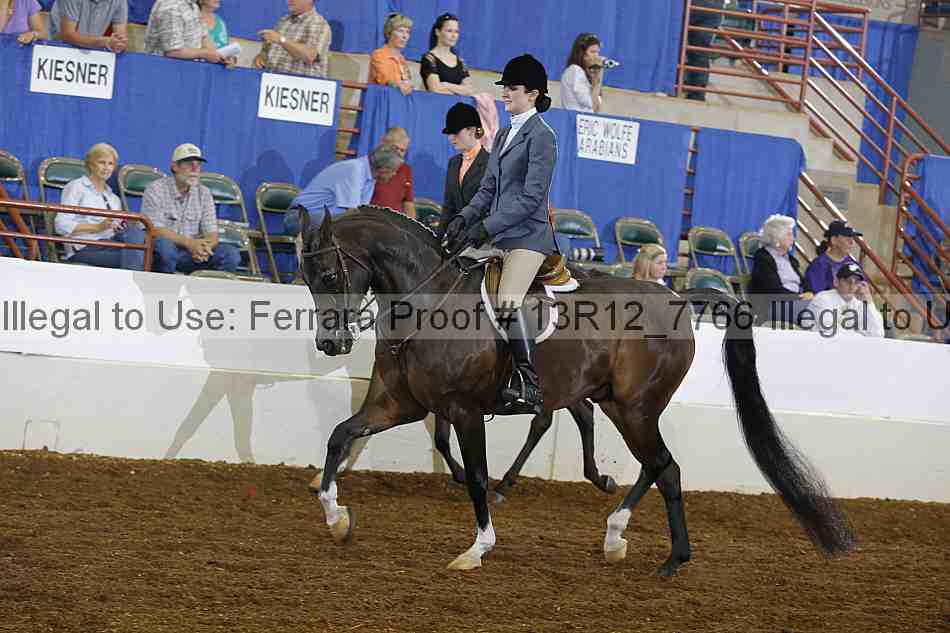 Proof 13r12_7766